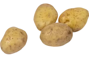 Tafelaardappel iets kruimig 2,5kg